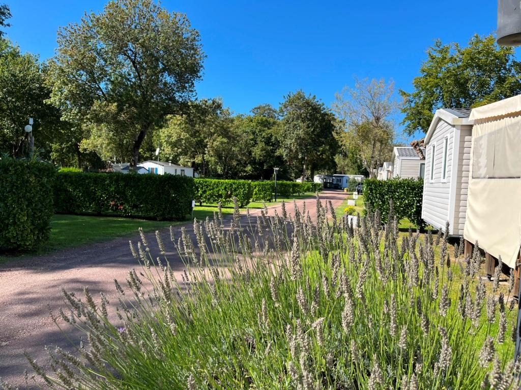 ile-oleron-dolus-camping-les-floralies-charente-maritime-ocean-atlantique