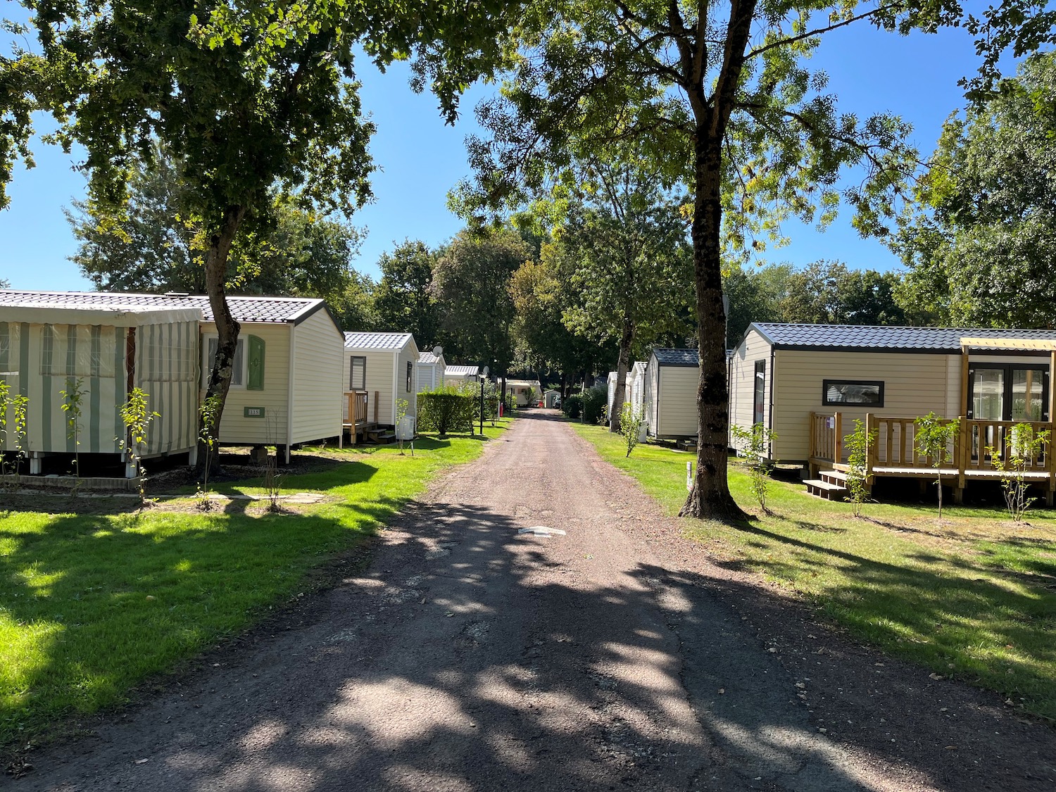 camping lesfloralies oleron 1479423318 2048x2048